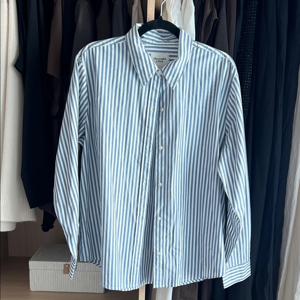 Abercrombie & Fitch White and Blue Striped Button Down Shirt Size L